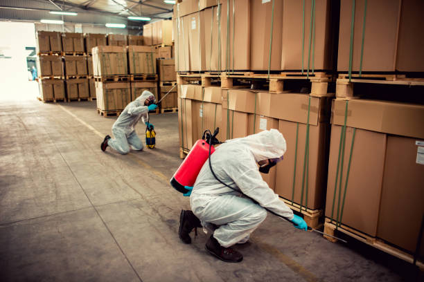 Best Termite Control Services  in Huntington Beach, CA