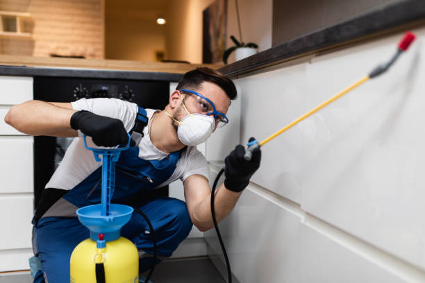 Best Best Pest Control Companies  in Huntington Beach, CA