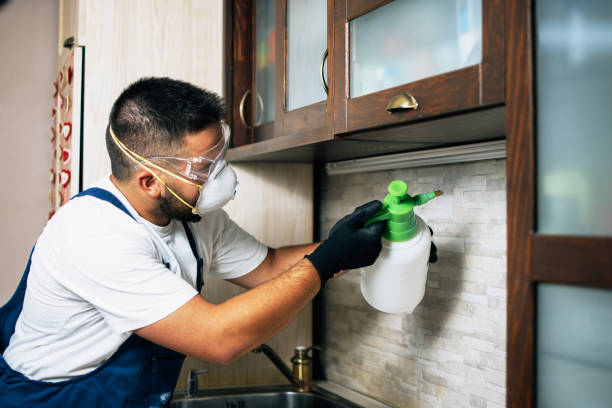 Best Spider Control Near Me  in Huntington Beach, CA