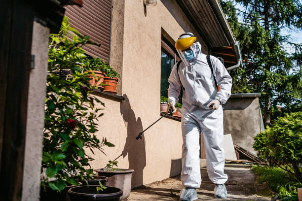 Best Termite Control Services  in Huntington Beach, CA
