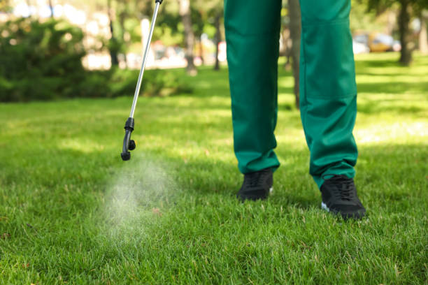 Best Mosquito Control Services  in Huntington Beach, CA