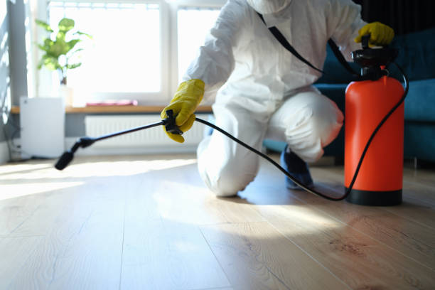 Best Flea Control Services  in Huntington Beach, CA