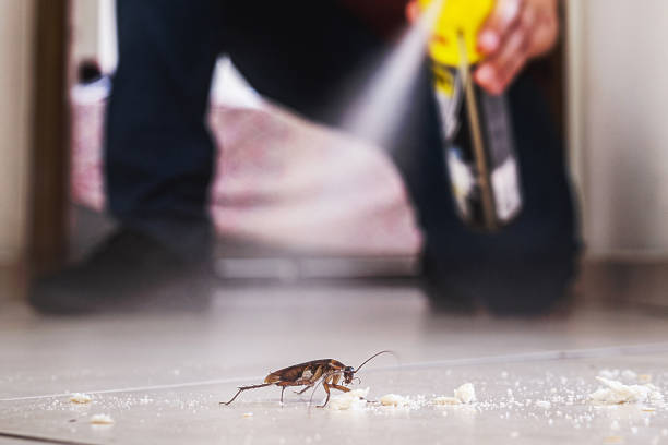 Wildlife Control Services in Huntington Beach, CA